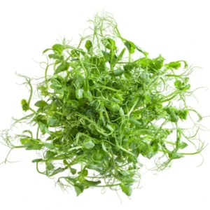 Arveja (Pea Shoots Microgreens )
