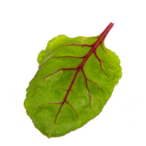 Remolacha Baby Leaf (Beet Leaf)